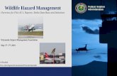 Wildlife Hazard Management Federal Aviation