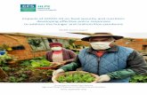 Impacts of COVID-19 on food security and nutrition ...