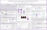 SMARCA5 Controls Gene Expression in AML1-ETO-Expressing Cells