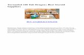 Turanabol 100 Tab Dragon | Best Steroid Suppliers