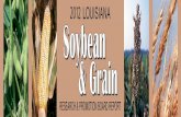 Research focuses on soybean disease