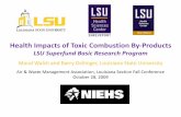 Health Impacts of Toxic Combustion By-Products