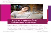 Digital Experience Platforms (DXPs)