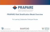 PRAPARE Risk Stratification Model Overview