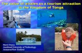 The value of whales as a tourism attraction in the Kingdom ...