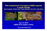Risk assessment of invasive wildlife speciesRisk ...