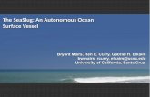 The SeaSlug: An Autonomous Ocean Surface Vessel