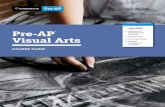 Pre-AP Visual Course Guide