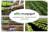ANNUAL REPORT 2019 - NZPPI