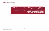 Guidance for Remuneration Committee: Senior Staff ...