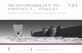 Responsibility to pRotect itself?
