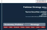 Pakistan Strategy 2014 - Taurus