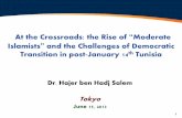 At the Crossroads: the Rise of Moderate Islamists and the ...