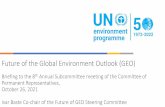 Future of the Global Environment Outlook (GEO)