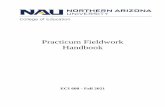 Practicum Fieldwork Handbook