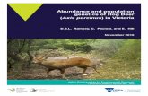 Abundance and population genetics of Hog Deer Axis ...