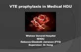 VTE prophylaxis in Medical HDU - Thrombosis UK