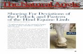 Volume 16: Issue 1 Shoeing For Deviations of the Fetlock ...