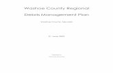 Washoe Debris Management Plan - Reno