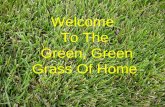 Welcome To The Green, Green Grass Of Home