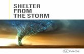 SHELTER FROM THE STORM - WGI