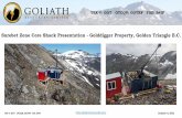 Surebet Zone Core Shack Presentation - Golddigger Property ...