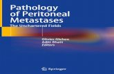 Pathology of Peritoneal Metastases
