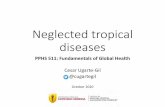 Neglected tropical diseases - TeachEpi