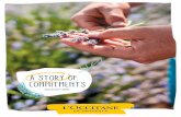 A STORY OF COMMITMENTS - Group L'OCCITANE