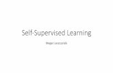 Self-Supervised Learning - Stanford University