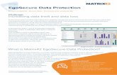 One Pager EgoSecure Data Protection - Bechtle