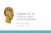 Chapters 10, 11 The Nervous System and Clinical Applications