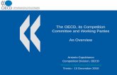 OECD Competition Committee and Working Parties An Overview