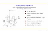 Hunting for Quarks