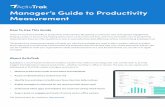 Manager’s Guide to Productivity Measurement