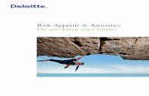 Risk Appetite & Assurance Do you know your limits?
