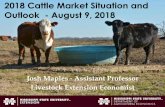 2018 Cattle Market Situation and Outlook - August 9, 2018