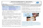 Woodberry Public School Newsletter