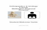 Orthopaedics & Urology 6 North Wellington Regional Hospital