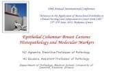 Epithelial Columnar Breast Lesions: Histopathology and ...