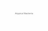 Atypical)Bacteria - Mt. San Antonio College