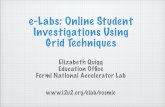 e-Labs: Online Student Investigations Using Grid Techniques