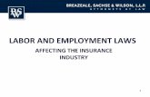 LABOR AND EMPLOYMENT LAWS