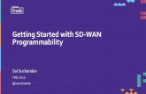 Getting Started with SD-WAN Programmability