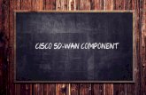Cisco SD-WAN Component