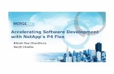 Accelerating Software Development with NetApp's P4 Flex