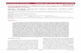 Research Paper Immunoprevention of KRAS-driven lung ...