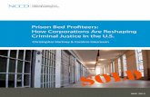 Prison Bed Profiteers: How Corporations Are Reshaping ...