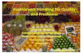 Postharvest Handling for Quality and Freshness