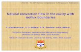 Natural convection flow in the cavity with isofluxboundaries